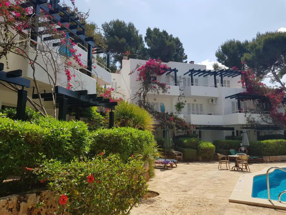 Apartamentos Los Tilos Пегера Экстерьер фото
